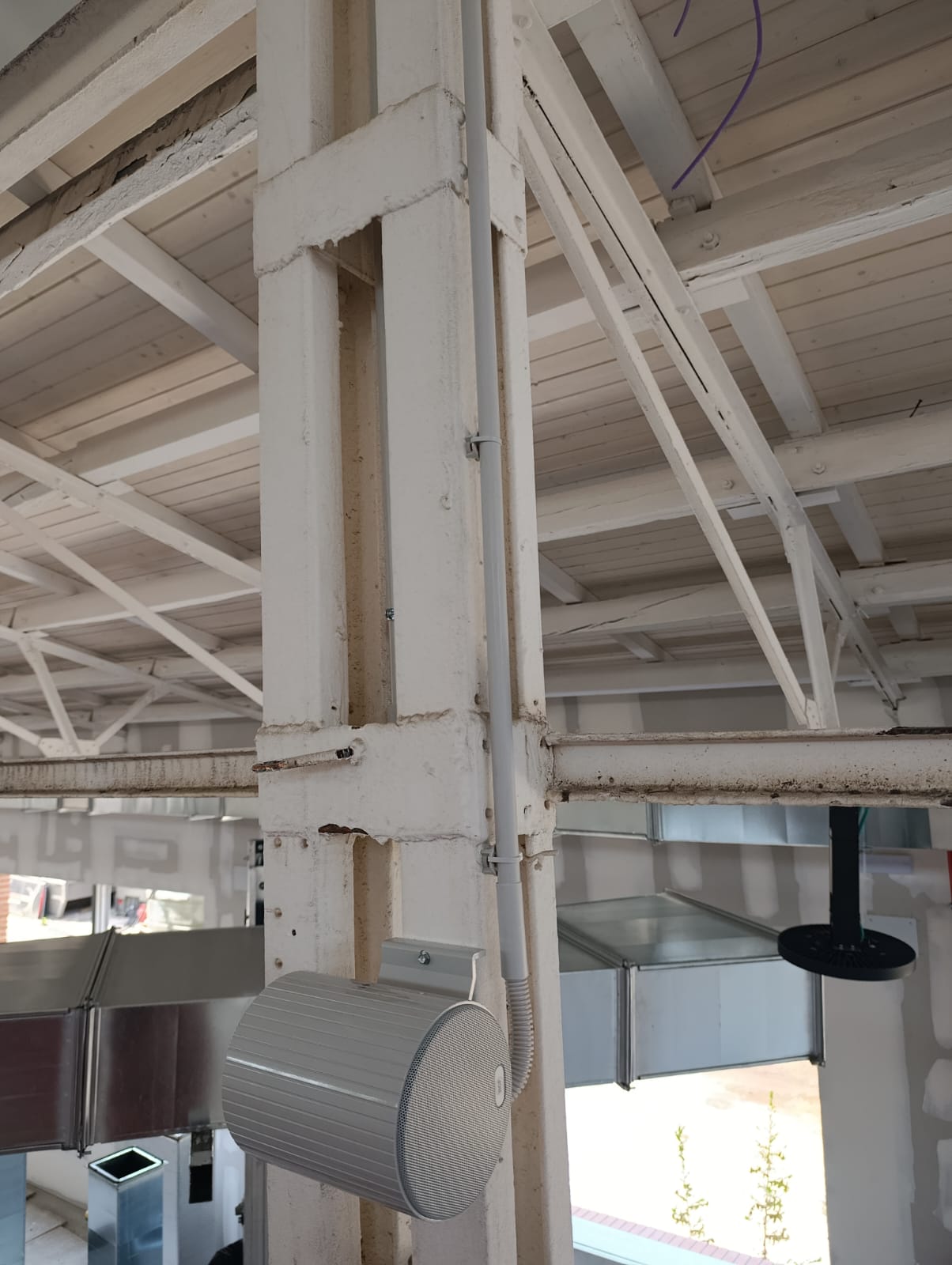 Imagen de WhatsApp 2025-06-17 a las 10.01.31_3a0cf6f6